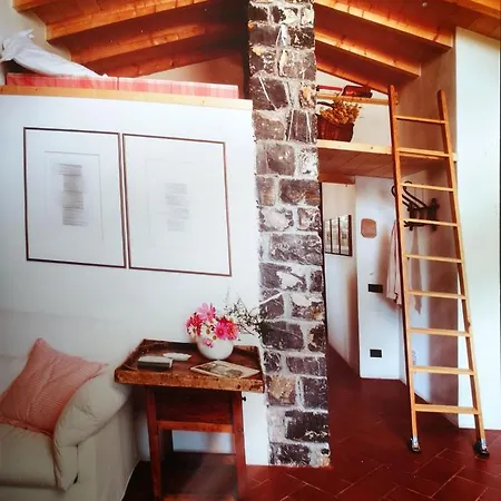 La Casa Del Pittore Reggimonti