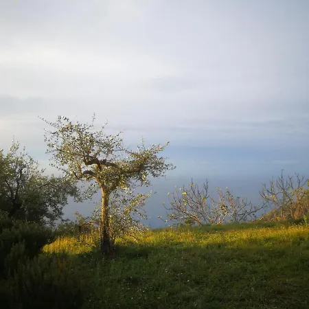 La Casa Del Pittore شاليه *