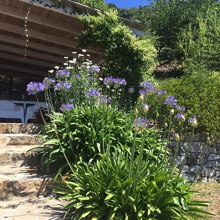La Casa Del Pittore Alpehytte *
