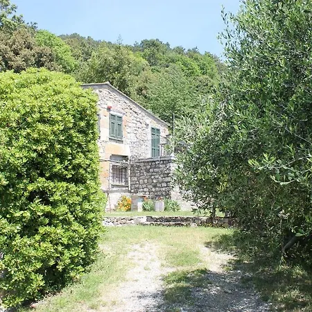 La Casa Del Pittore Alpehytte *