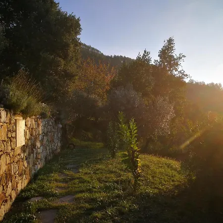 La Casa Del Pittore