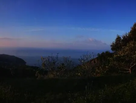 Alpehytte La Casa Del Pittore *